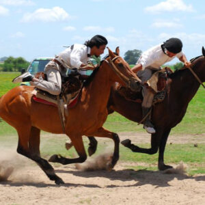 gaucho flextours