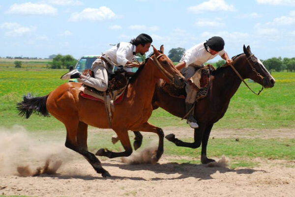 gaucho flextours